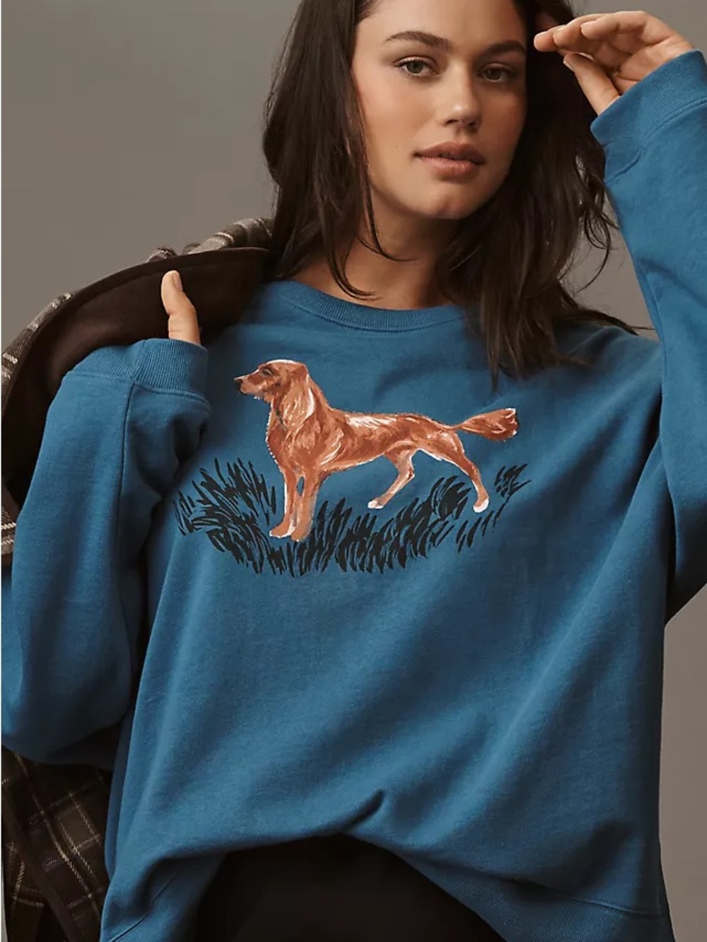 Maeve Blue Dog Graphic Sweatshirt - golden retriever